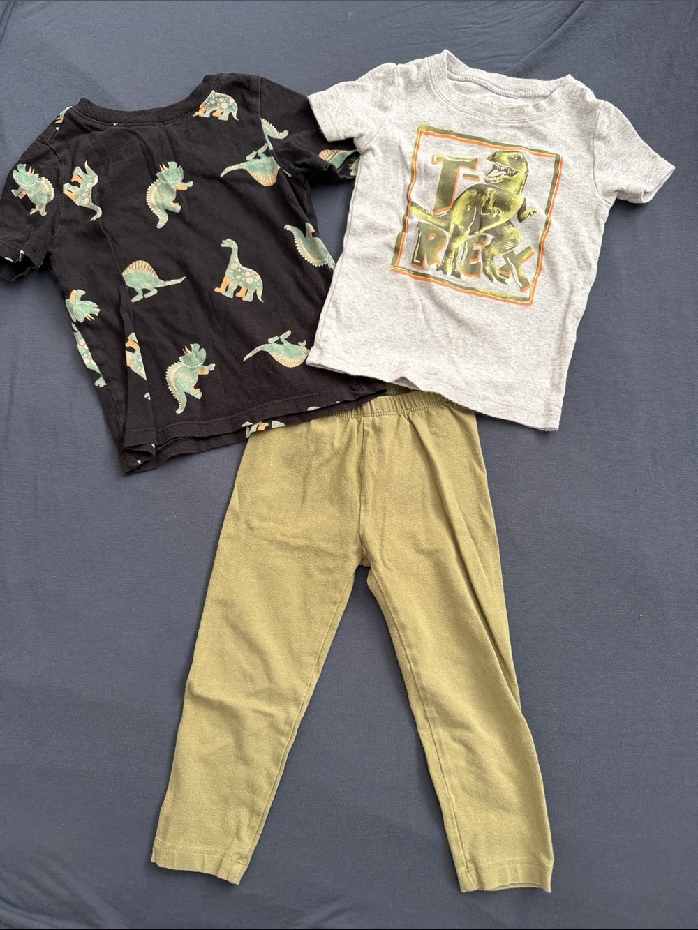 Baby 18-24 months dinosaur outfit